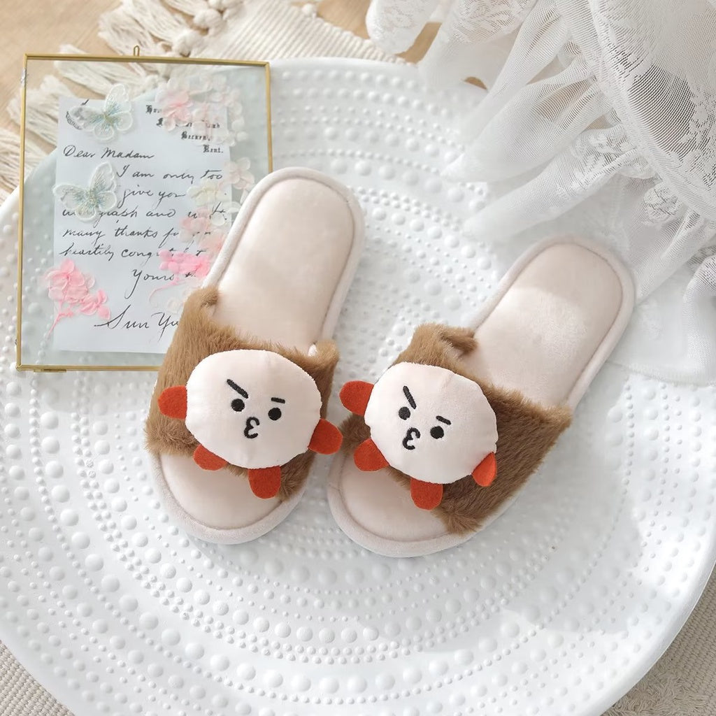 BT21 Indoor Slippers