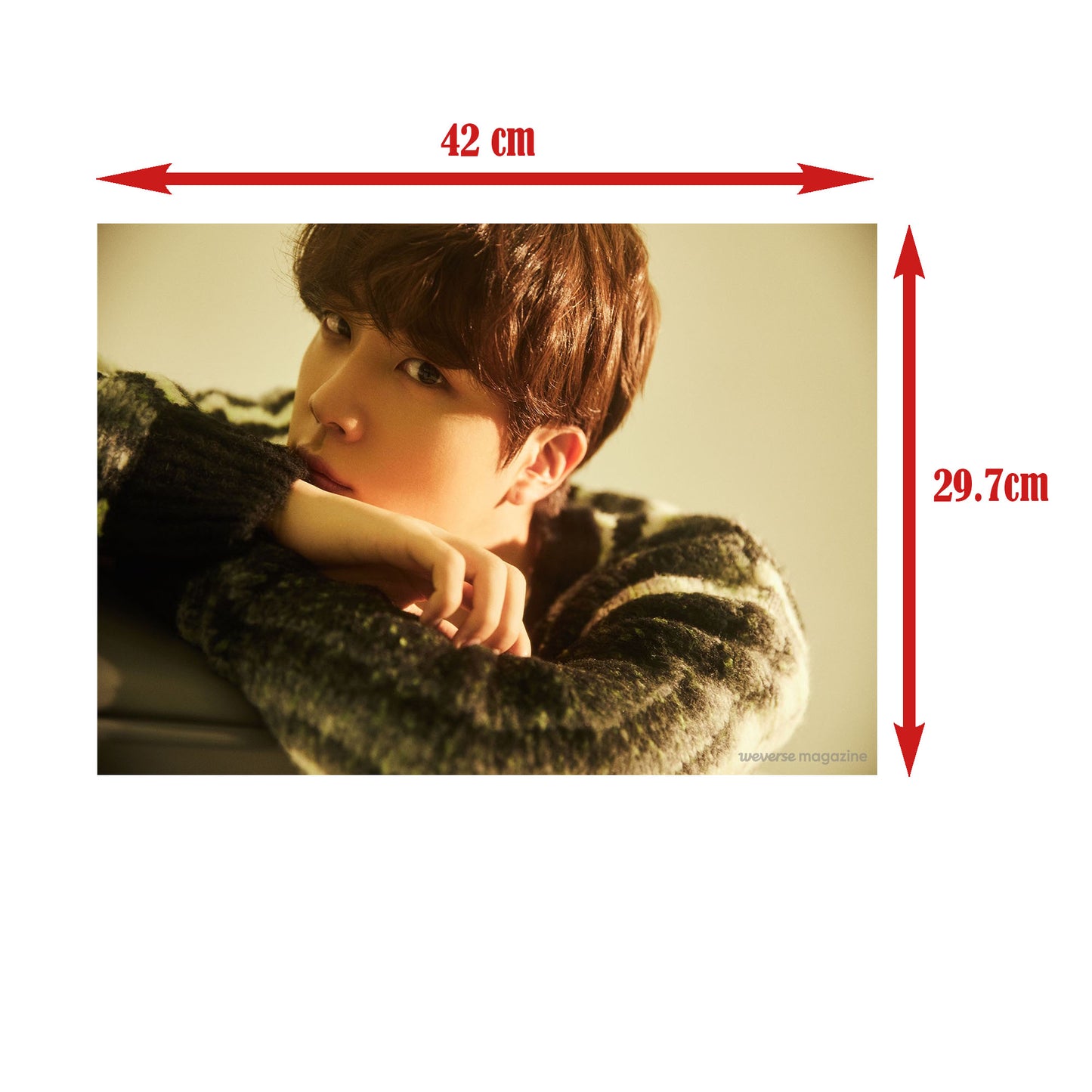 BTS JIN 5Pcs Wall Poster Pack KPOP